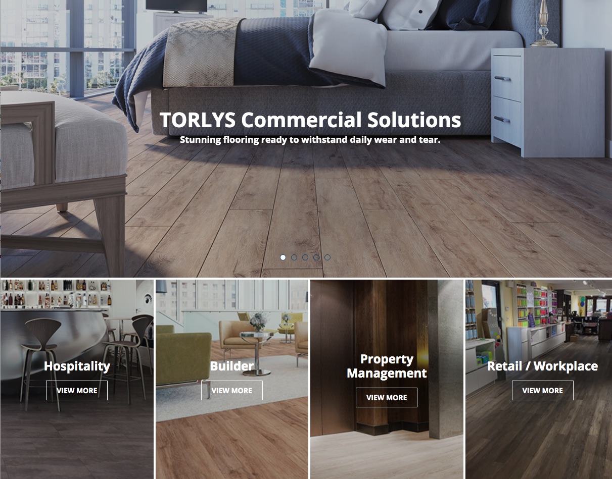 Screenshot of TORLYS Professional home page with market pages