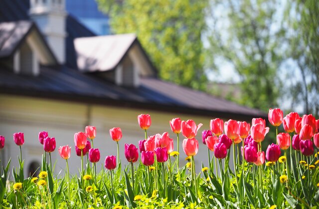 This is an image of the outside of a house in the spring time